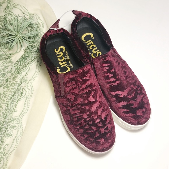 Circus by sam edelman women's scotlyn sneaker Clearance